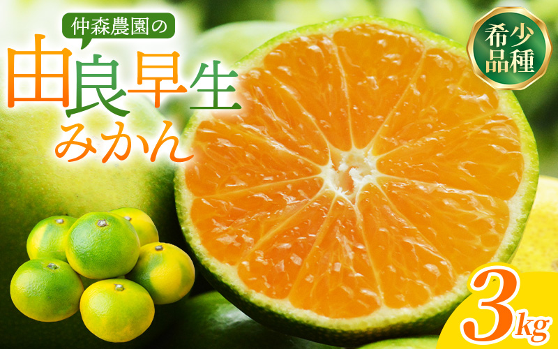 仲森農園の由良早生みかん 約3kg みかん ミカン 蜜柑 温州みかん 温州ミカン 柑橘 フルーツ 果物 くだもの 早生 甘い 旬 希少 数量限定 期間限定 産地直送 三重県 熊野市【2026年11月上