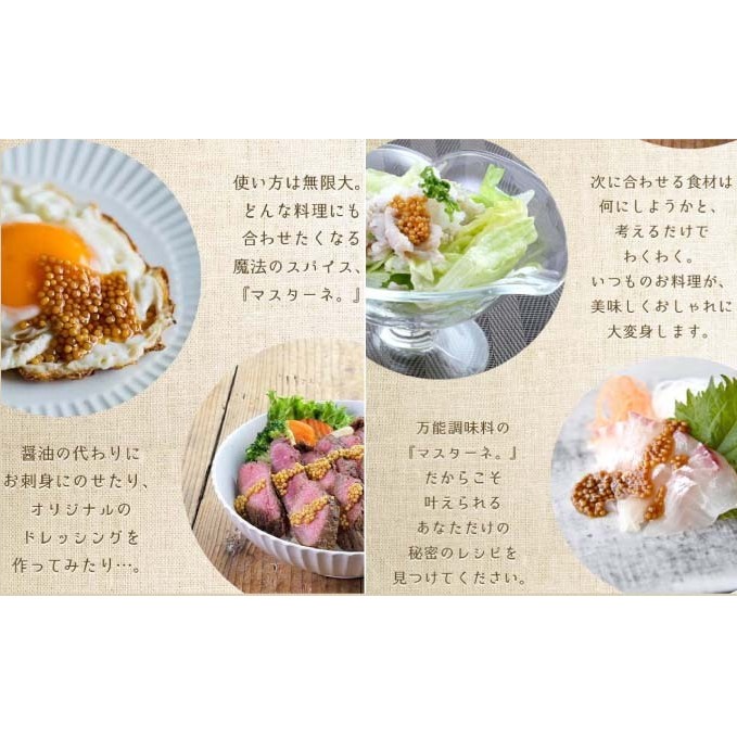 調味料 マスターネ プレーン しょう油 2本セット 100g×各1 マスタード 食べ比べマスタードシード 味付け 辛くない 料理 アクセント和食 洋食 中華 万能調味料 _イメージ3