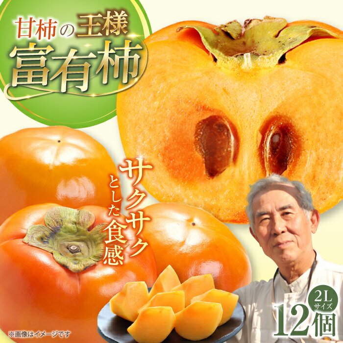 【ふるさと納税】【12月より順次発送】岐阜市産 富有柿 2L【12個入り】 産地直送 フルーツ 柿 岐阜市 / 羽賀政夫[ANDZ001]