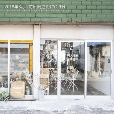 ふるさと納税 糸島市 お花屋さんのしめ縄 ドライフラワー(ラージサイズ)糸島市/PLAISIR [ANC002] |  | 03