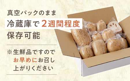 【先行予約】リピーター続々！白石町のれんこん！ 洗いれんこん【真空パックれんこん】約1.5kg /新鮮なれんこんを産地直送！ 佐賀 白石れんこん 洗いれんこん シャキシャキ・ホクホクの甘いれんこん  
