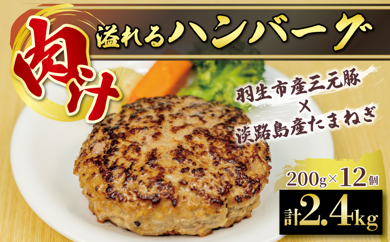 ハンバーグ 2.4kg 冷凍 無添加 牛肉 豚肉 合挽き 肉 惣菜