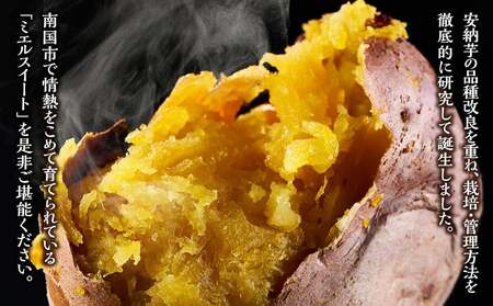 【発送開始】 【訳あり】 ミエルスイート 5キロ サツマイモ 芋 いも ミエルスィート おやつ スイーツ いも天 芋天 焼き芋 焼いも 焼芋 やきいも 高知県 南国市