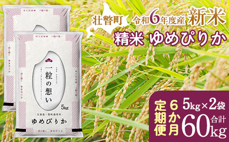 【新米】【令和6年産米】北海道壮瞥産 ゆめぴりか 計60kg（5kg×2袋 6ヵ月定期配送） 【 ふるさと納税 人気 おすすめ ランキング 新米 米 お米 コメ こめ ゆめぴりか 精米 白米 ごはん ご飯 壮瞥産 定期便 北海道 壮瞥町 送料無料 】 SBTE031