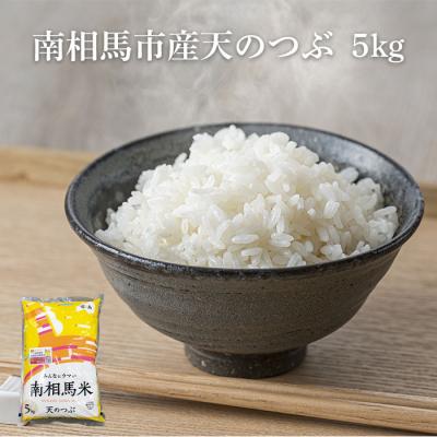 ふるさと納税 南相馬市 【先行予約】白米 5kg 天のつぶ 令和7年産 | 精米コメ ごはん ふくしま未来農協