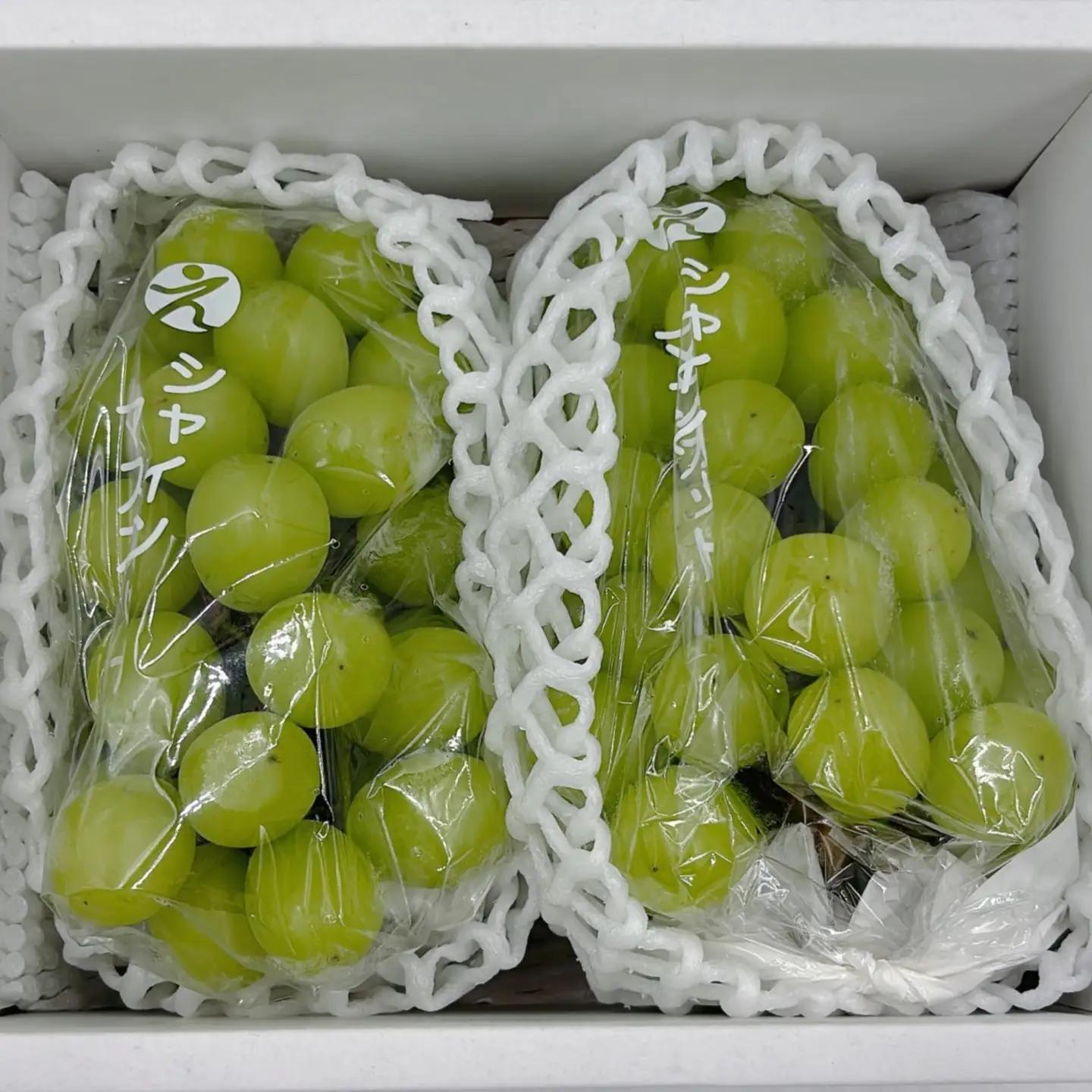【全3回】食べきり 旬のフルーツ定期便 まつやま農林水産物ブランド | フジ・アグリフーズ みかん 愛媛蜜柑 愛媛ミカン みかん ミカン mikan 蜜柑 柑橘 フルーツ 果物 シャインマスカット ぶ