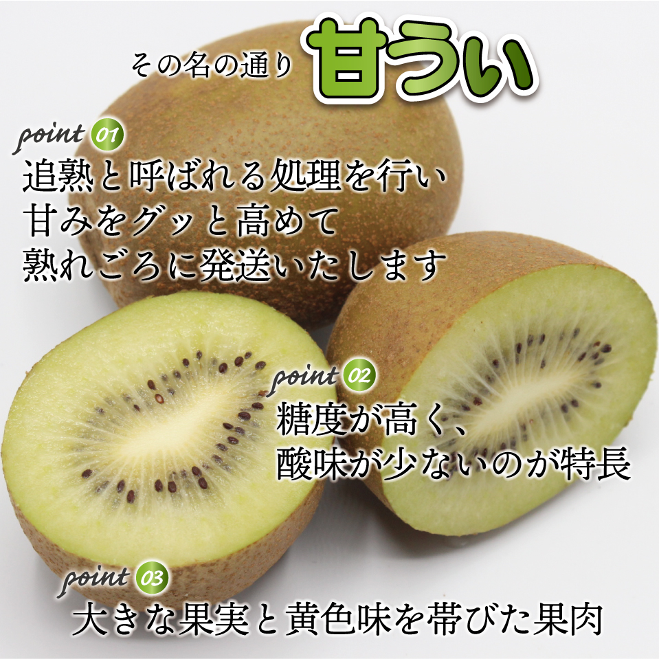 【福岡県産】キウイフルーツ「博多甘うぃ」化粧箱入り約1.4kg 2L10