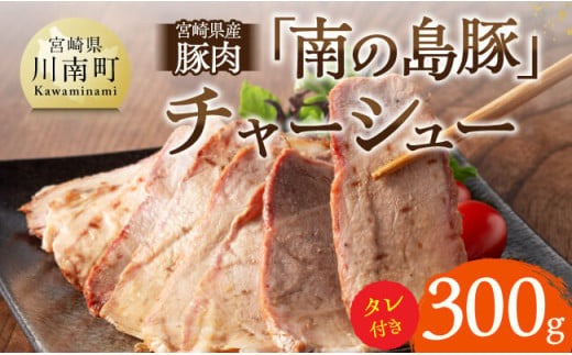 宮崎県産豚肉　「南の島豚」チャーシュー300g（タレ付）【 宮崎県産 国産 肉 豚 豚肉 モモ肉 肩肉 チャーシュー 宮崎県 川南町 送料無料  】[D12101]