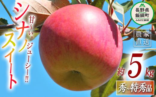 りんご シナノスイート 秀 ～ 特秀 5kg 丸山りんご園 沖縄県への配送不可 2025年10月上旬頃から2025年11月上旬頃まで順次発送予定 令和7年度収穫分 信州 果物 フルーツ リンゴ 林檎 長野 14500円 予約 農家直送 長野県 飯綱町 [0265]