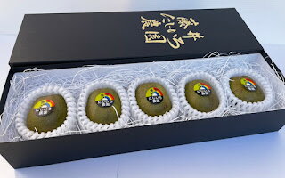 【ふるさと納税】【先行予約】 キウイ フルーツ レインボーレッド 約490g 希少品種 赤い果肉の極甘キウイ フルーツ 果物 旬 《お届け：2025年10月20日頃～2025年12月20日頃出荷》 山口県 阿武町産 デザート