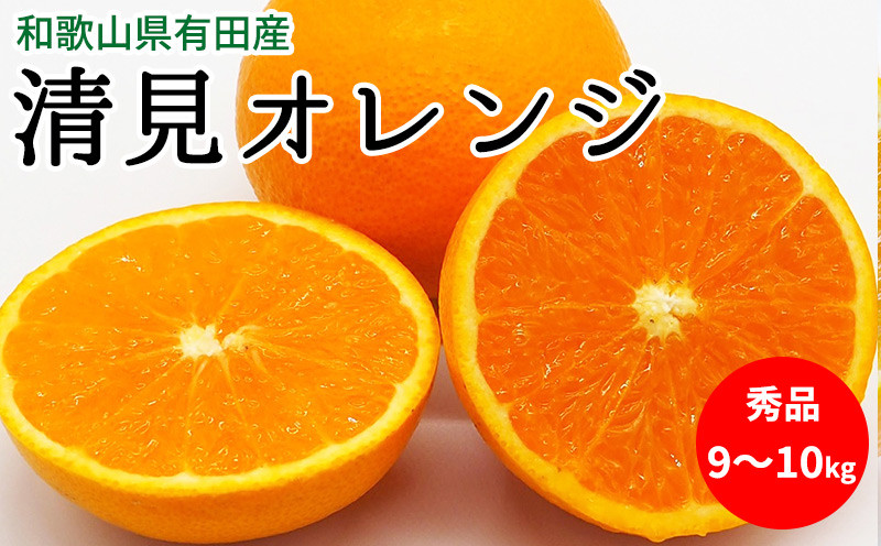 
                  【2027年先行予約】清見オレンジ 秀品 約9～10kg 和歌山県有田産【清見 みかん オレンジ タンゴール きよみ 柑橘 和歌山 有田】_U6303
                