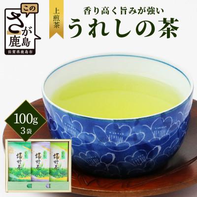 ふるさと納税 鹿島市 【ギフトにおすすめ】佐賀県産 上煎茶 うれしの茶 100g×3本【合計300g】化粧箱入り・包装