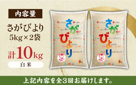 【毎月お届け！】【全3回定期便】さがびより 白米 計30kg（5kg×2袋×3回）/ 佐賀米 精米 コメ おこめ ごはん / 佐賀県 / 株式会社JA食糧さが [41ADAR006]