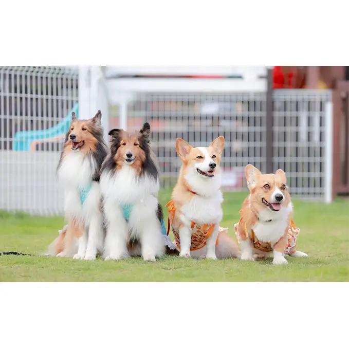 犬 おやつ エゾシカ肉 【モモスライス 30g×3袋】7営業日以内最短発送 愛犬のおやつシリーズ 鹿肉 肉の加工品 加工食品 愛犬用 愛犬 おやつ ペットフード エゾシカ ジビエ 犬 猫 動物 ドッグ