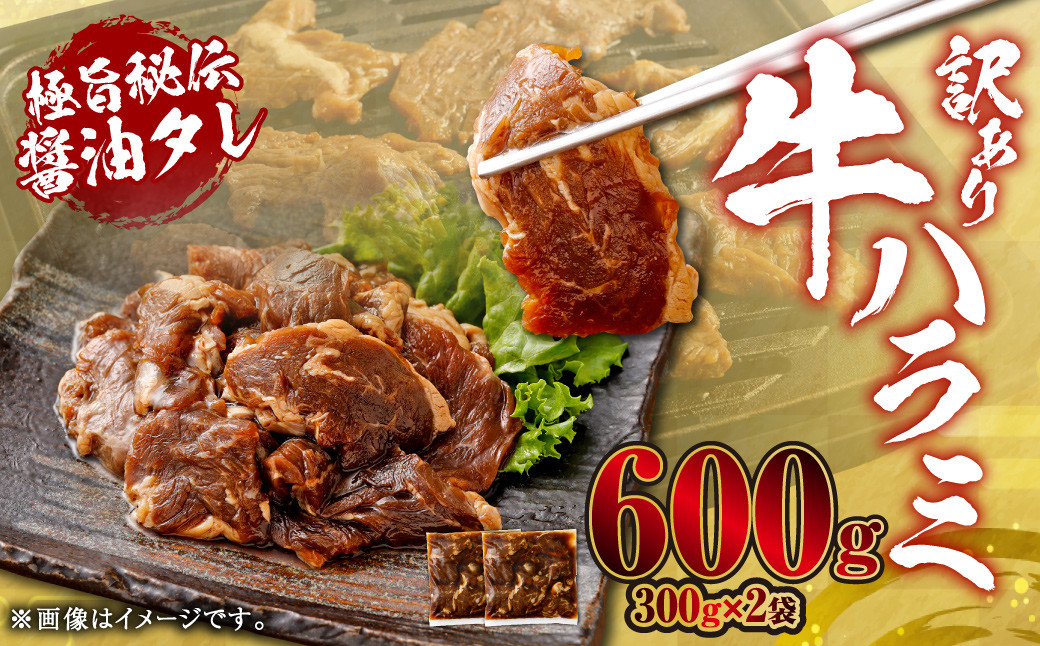 
            【先行予約】やわらか 牛ハラミ（サガリ）肉 極旨秘伝醤油タレ漬け 合計600g（300g×2袋）【訳あり】【2025年6月下旬以降順次発送予定】ハラミ 牛肉 ZS-6122
          