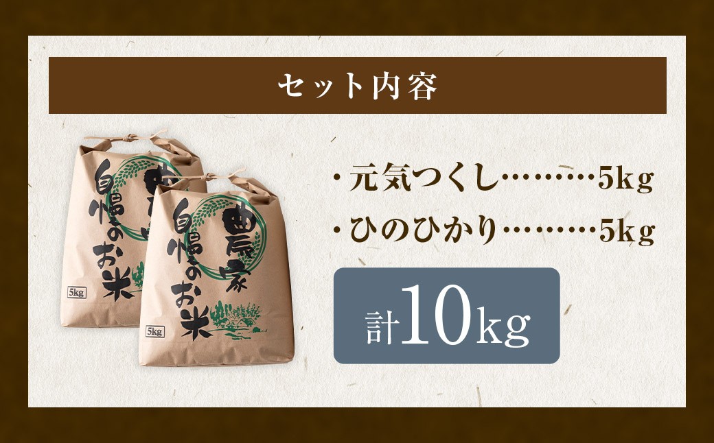 【特Aランク米】五庄屋の地で作ったお米 食べ比べセット 玄米 (元気つくし 5kg・ひのひかり 5kg) 計10kg