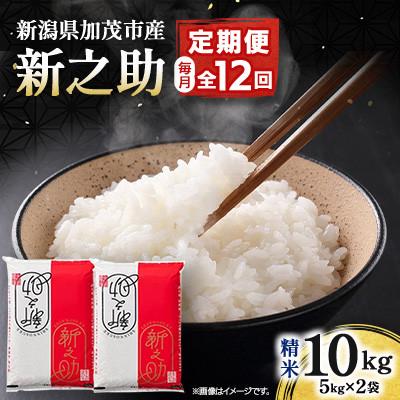 ふるさと納税 加茂市 【発送月固定定期便】新之助 精米10kg(5kg×2袋)全12回
