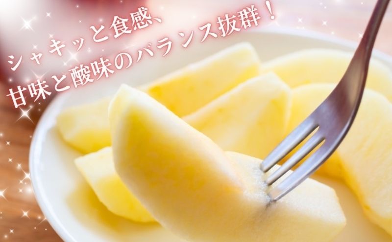 【先行予約】令和8年産 訳あり サンふじ りんご 9kg (玉数おまかせ) 家庭用 長野産 信州 産地直送 フルーツ 果物 リンゴ さんふじ 林檎