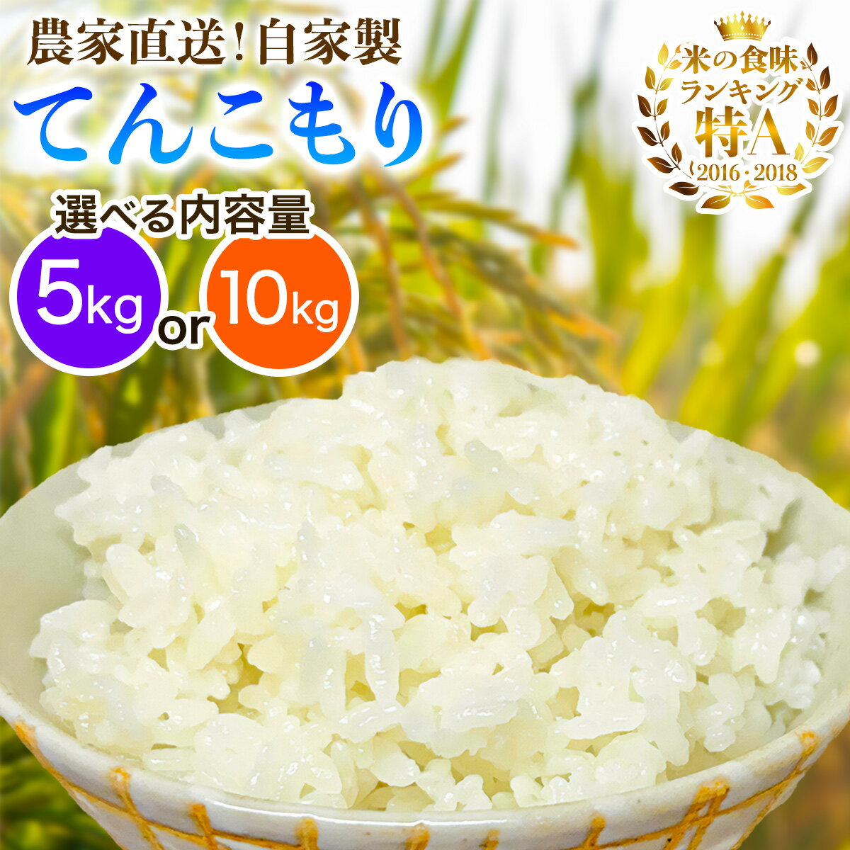 【ふるさと納税】新米 [令和7年産] 伊勢原産 精米5kg／10kg てんこもり 農家直送！加藤さんちのうんめぇ！自家製米 選べる内容量｜先行予約 お米 おこめ コメ 白米 神奈川 伊勢原 [0525-0527]