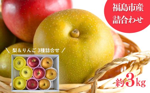No.3021 なし＆りんご詰合せ 3種 約3kg 【2026年度発送】