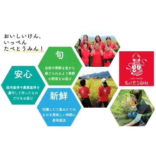 【定期便/3ヶ月お届け】たべとうみんの旬菜ボックス（お米付）