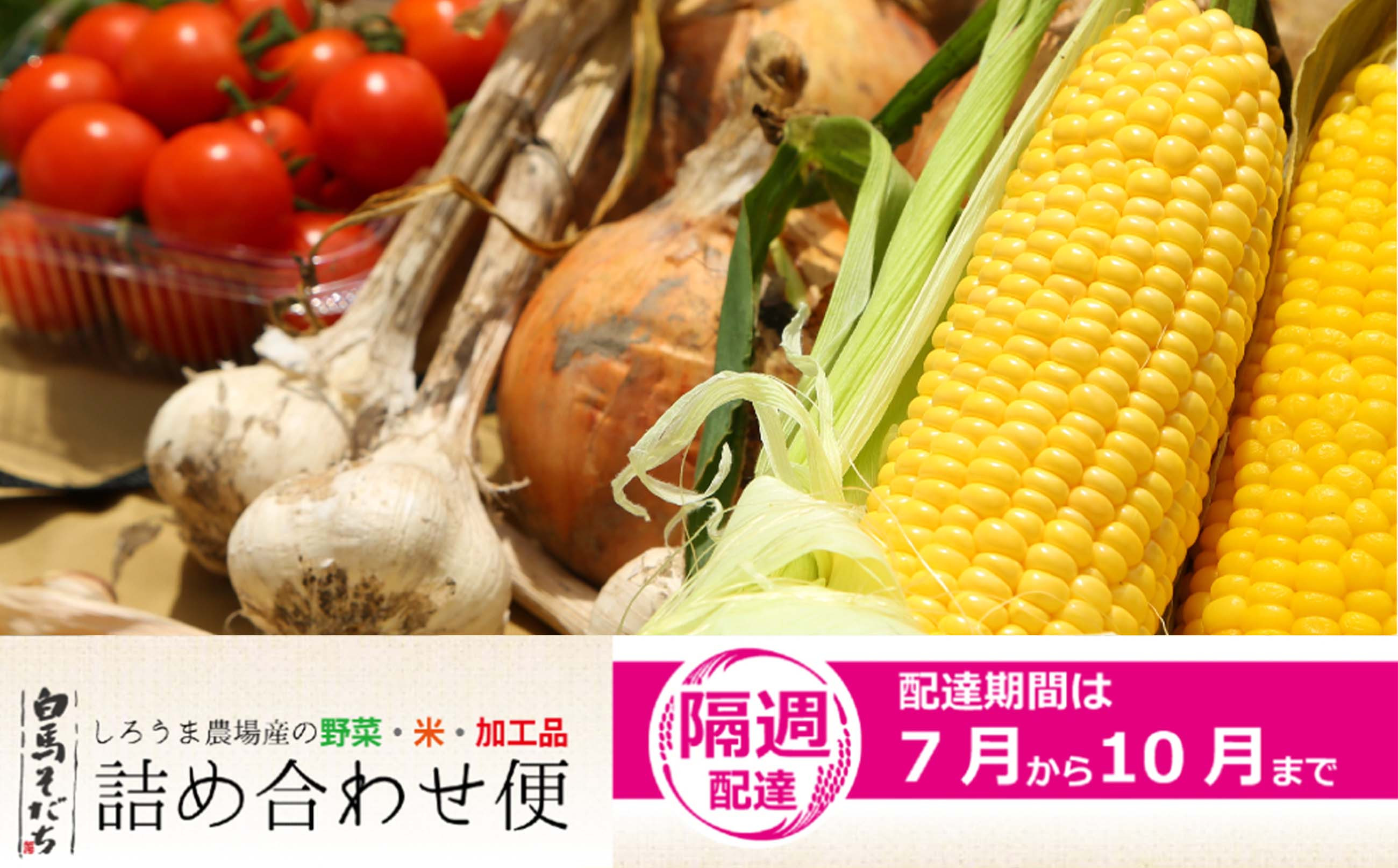 
            【期間限定】白馬そだち（旬の野菜・米・加工品）詰合せ便（全9回）2025年7月から10月までの隔週でお届け/長野県白馬村　旬の野菜　詰め合わせ　セット　直送【H0040197】
          