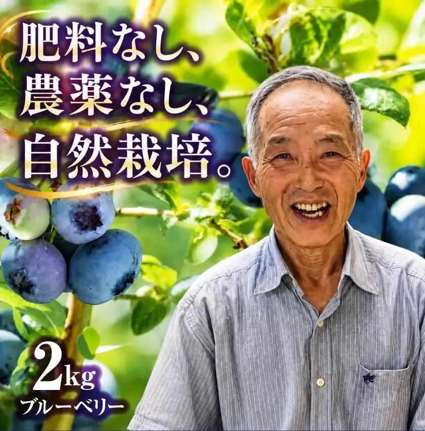 ブルーベリー 2kg [ku001-2kg] フルーツ ベリー