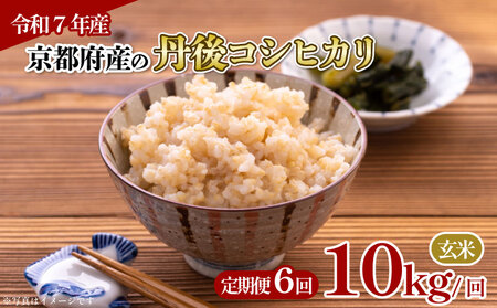 【玄米】定期便 6回 令和7年産 丹後コシヒカリ 玄米 10kg