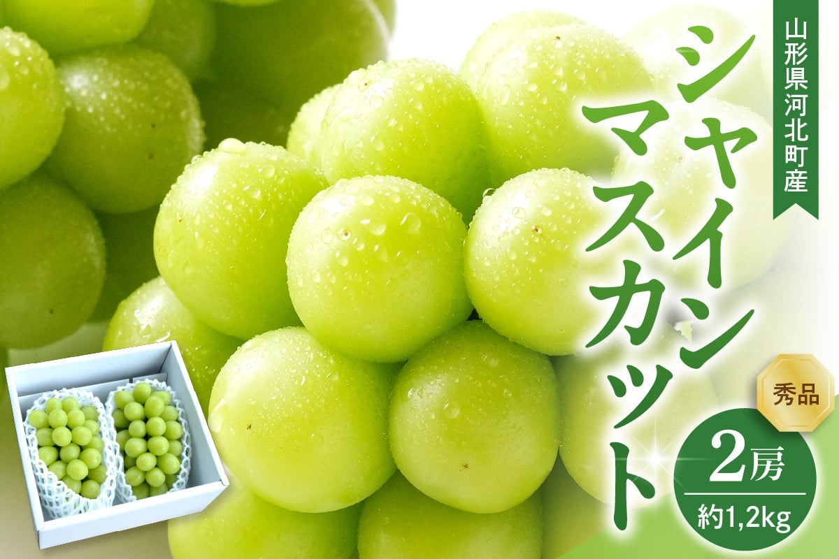 
            【令和7年産】 ぶどう シャインマスカット 2房入り（1房600g前後） 秀品 山形県河北町産【山形eLab】ka074-023
          