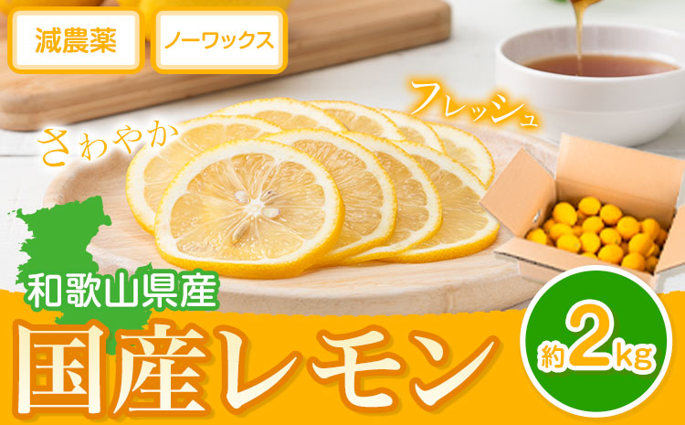 【先行予約】国産 レモン 約 2kg (L～4Lサイズ) ノーワックス 減農薬 どの坂果樹園《2026年2月上旬-5月末頃出荷》 和歌山県 日高川町 レモン れもん 檸檬 果物 フルーツ 国産レモン レモネード レモンサワー はちみつレモン はちみつ ハイボール 旬 柑橘 フルーツ 果物 送料無料(F-1)