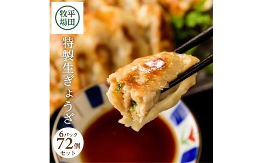 平田牧場　特製生ぎょうざ 72個セット(12個入×6パック) SA0779
