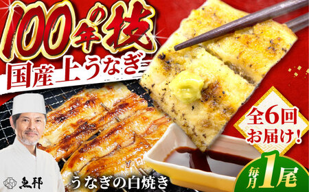 【6回定期便】国産 上うなぎ 白焼き 1尾 約150g / 鰻 ウナギ うなぎ 白焼き / 御嵩町 / 鰻 季節料理 魚邦[AVBH025]