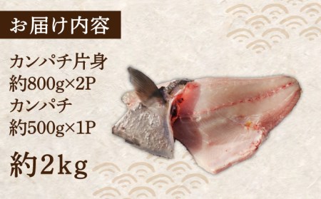 対馬カンパチ３枚卸 [WAD010] かんぱち  お造り  海鮮丼 海鮮 活魚 魚 白身 海産物 魚介類 お刺身 コダワリ魚 こだわり魚 おすすめ魚 おススメ魚 人気魚 定番魚 通販魚 お取り寄せ魚 