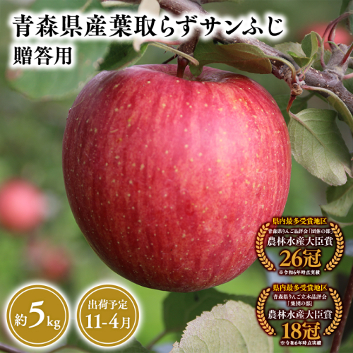 2026年産１１月～４月発送　贈答用葉とらずサンふじ5ｋｇ　【そと川りんご園・１１月・１２月・１月・２月・３月・４月・青森県産・平川市・りんご・葉とらずサンふじ・5ｋｇ・贈答用】
