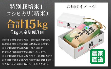 【令和5年産】《定期便3回》コシヒカリ 精米 5kg （計15kg）特別栽培米 農薬不使用 化学肥料不使用 ／ 高品質 鮮度抜群 福井県産 ブランド米 白米 あわら