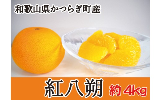 甘酸っぱさ、はじける。かつらぎの紅八朔 約4ｋｇ【2027年2月中旬～2027年2月下旬お届け予定】/はっさく 柑橘 フルーツ 果物 美味しい おいしい 和歌山県 送料無料【A-frks188】