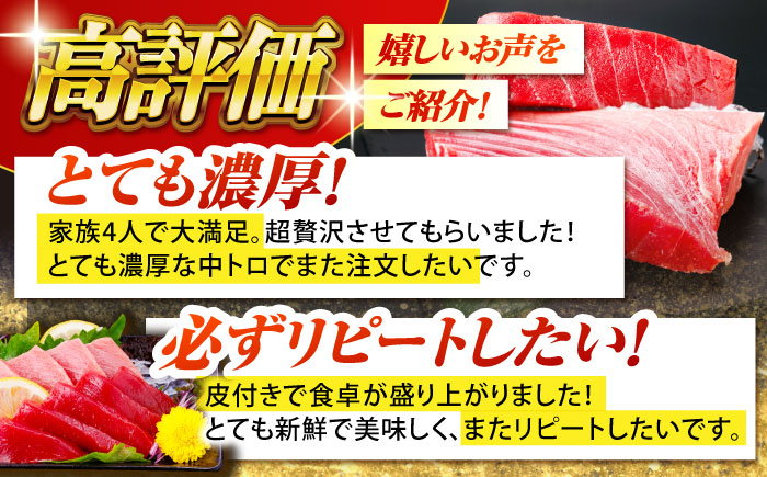 【全6回定期便 (月1回) 】長崎県産 本マグロ 中トロ皮付き 約700g 【大村湾漁業協同組合】 [BAK026] / マグロ まぐろ 中トロ 中とろ 刺身