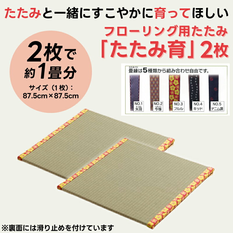 【ふるさと納税】 フローリング用 たたみ たたみ育 2枚