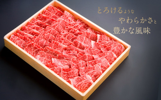 082-432 豊後牛 もも 焼肉用 500g