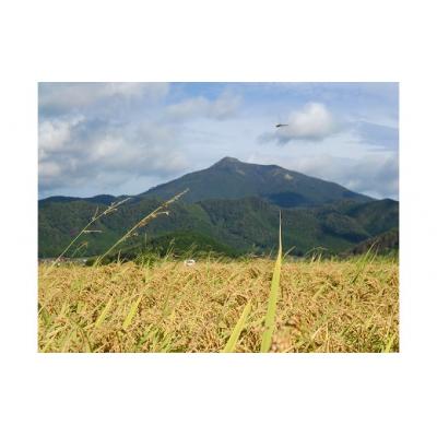 ふるさと納税 山口市 無洗米阿東のコシヒカリ5kg×6袋(精米) B110 |  | 02