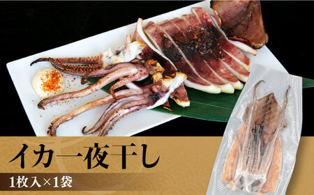 ひものセット（アジ、カマス、キンメ鯛、イワシ丸干し、イカ一夜干し、ワカシ西京漬、ワカシ粕漬）干物 詰め合わせ 魚 鯵 金目鯛 鰯 いか 西京漬け 横須賀【株式会社ユニマットプレシャス】 [AKBZ00