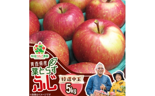 葉とらずふじ特選中玉5kg【1789778】