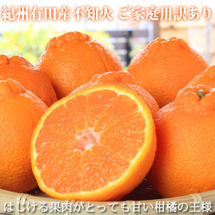 【ふるさと納税】［ご家庭用訳有り］紀州有田産不知火(しらぬひ) 約8.5kg［2026年2月中旬以降発送］［先行予約］［UT41］ | 訳あり 和歌山県 納税 楽天ふるさと 取り寄せ みかん ミカン 蜜柑 フルーツ 不知火 デコポン でこぽん ふるーつ 返礼品 柑橘類 かんきつ類 くだもの