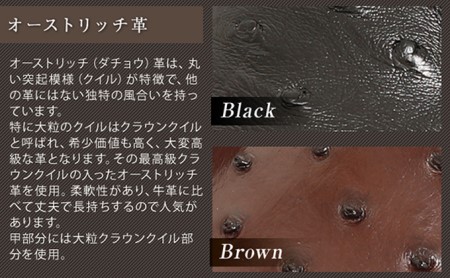 オーストリッチ革 ビジネスシューズ 紳士靴 スワローモカ 5cmアップ 4E ワイド No.67 ブラック 24.0cm