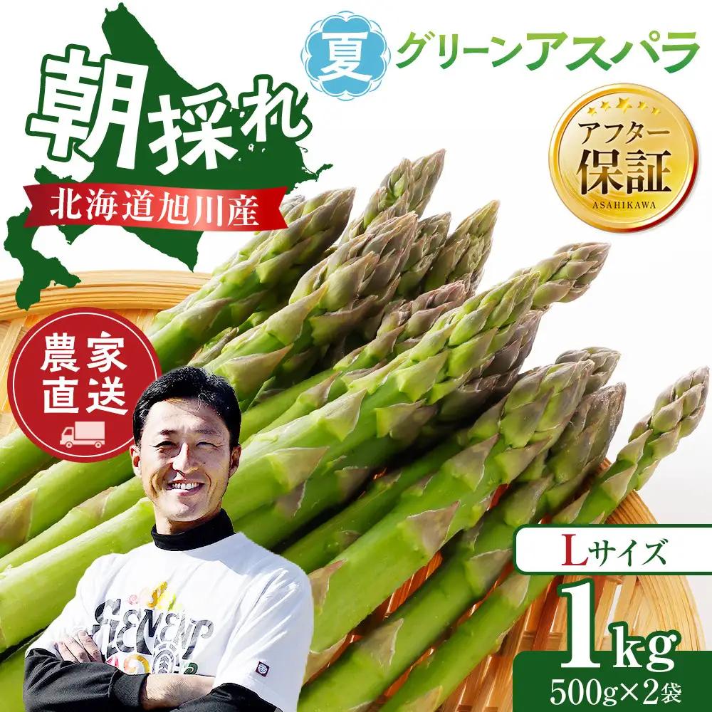 【先行予約】農家直送 朝採れ 夏グリーンアスパラ Lサイズ 1kg(500g×2袋) 北海道旭川産アスパラ (2026年7月中旬発送開始予定) _05931