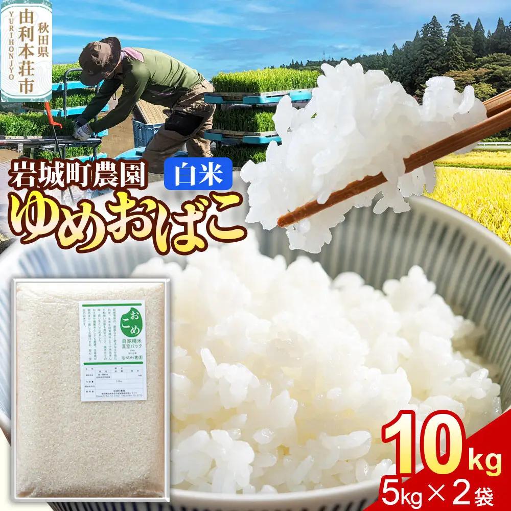 【白米】ゆめおばこ 秋田県産 岩城町農園のゆめおばこ 10kg（5kg×2袋）令和7年産 真空パック