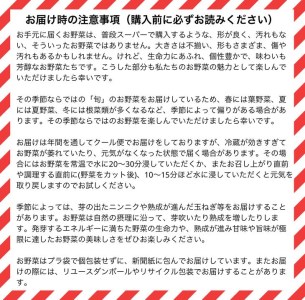 【12回定期便】かたもとオーガニックファームの農業研修生が育てたお野菜セット 野菜