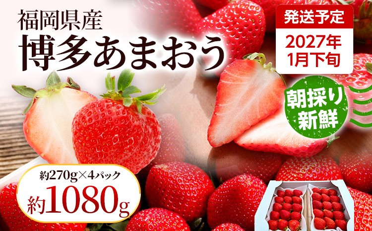 
                  【先行受付】農家直送 朝採り新鮮いちご【博多あまおう】＜1月下旬より順次発送＞ 約270g×4パック 福岡県産 苺 イチゴ 朝採れ 冷蔵 スイーツ ジュース ギフト プレゼント お土産 九州 福岡土産 ※北海道・沖縄・離島は配送不可
                