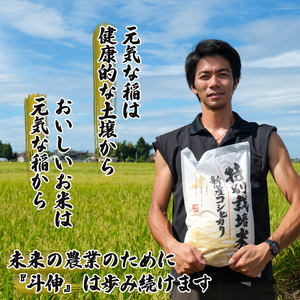 【令和6年産】 新米 無洗米 コシヒカリ 10kg 5kg 2袋 新潟産 特別栽培米 こしひかり 斗伸 新潟県 コメ お米 米 こめ しんまい 新潟米 新潟 新発田  toushin011