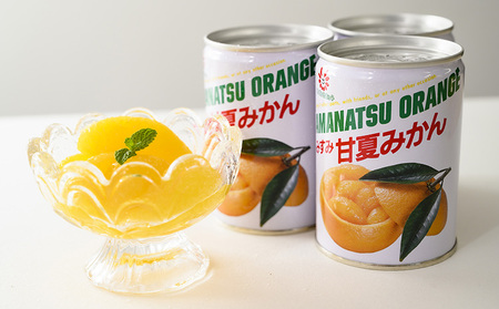 みかん 甘夏みかん 甘夏缶詰 12缶 固形量160g